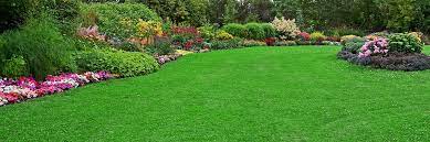 Lawn & Garden