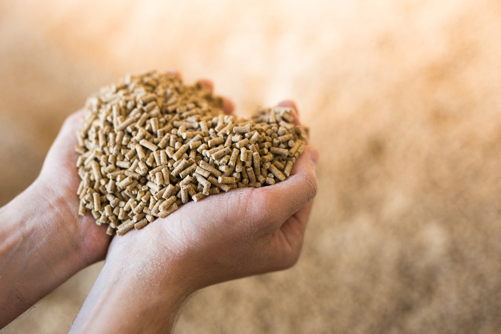 Hands holding livestock food